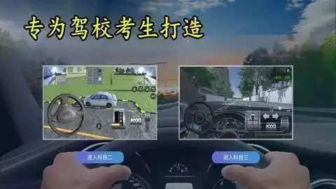 3D模拟驾考手游截图