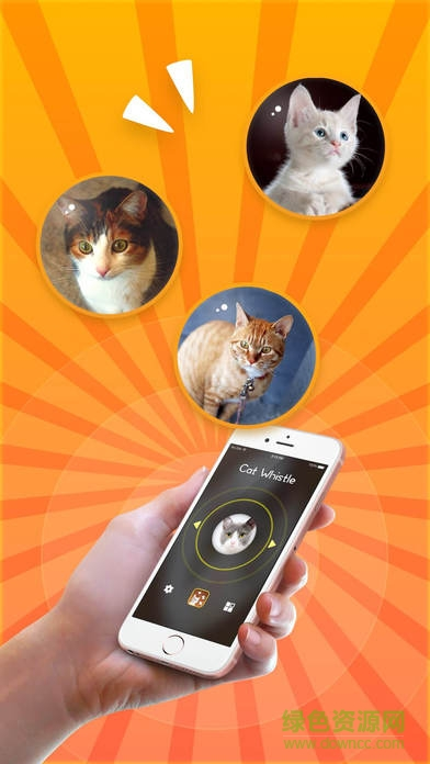 猫咪app最新版截图