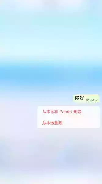 土豆社交聊天软件potato中文截图